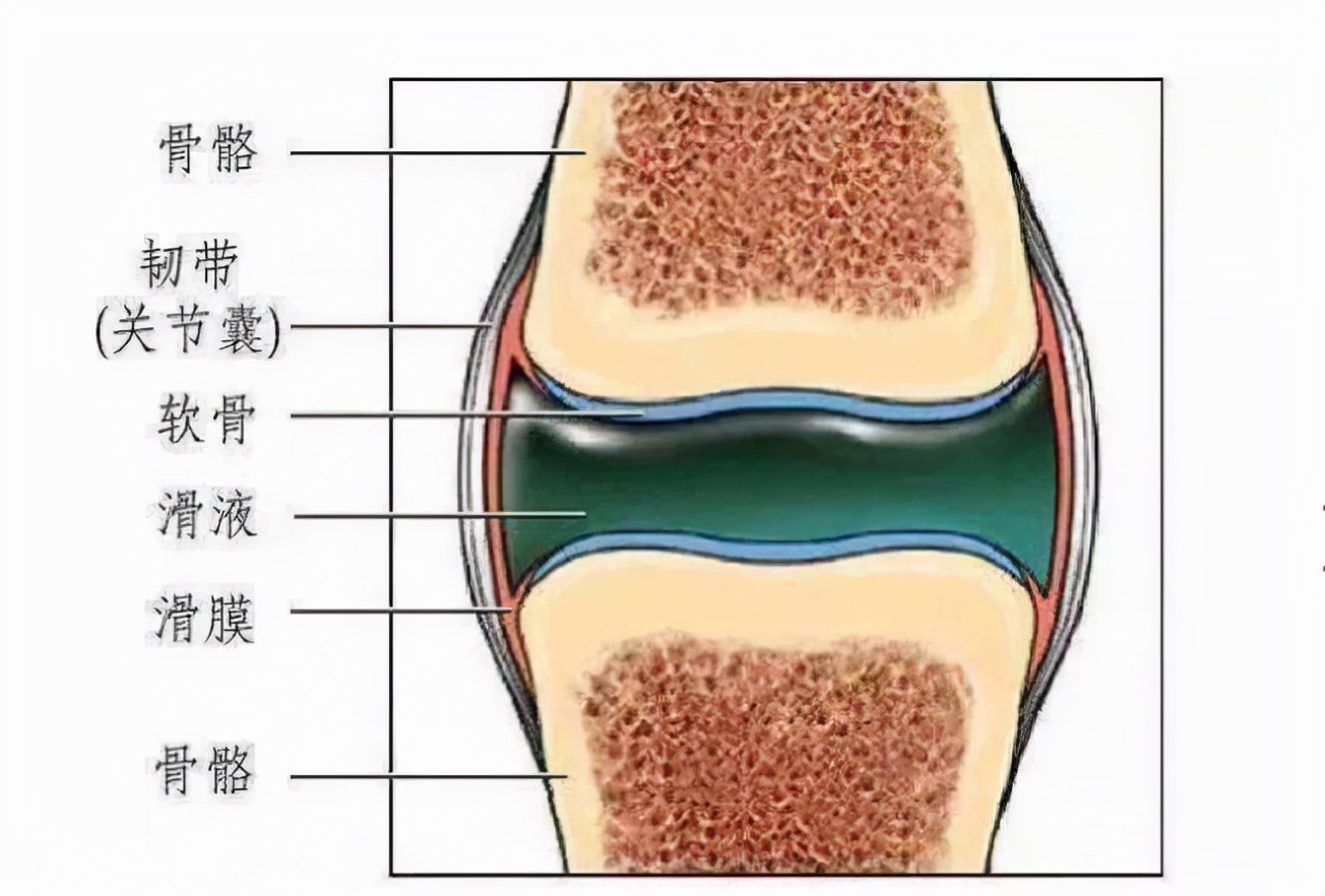 关节咔咔响是什么原因引起的,关节咔咔响是什么意思