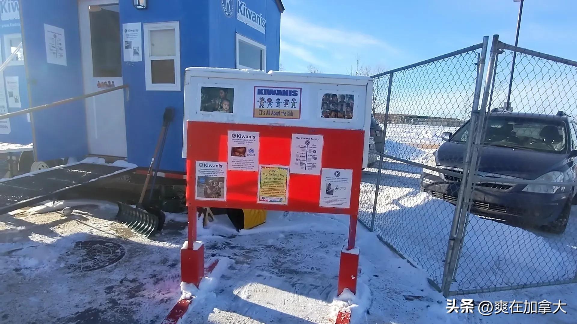 加拿大圣诞树多少钱一棵,国外如何用真树做圣诞树