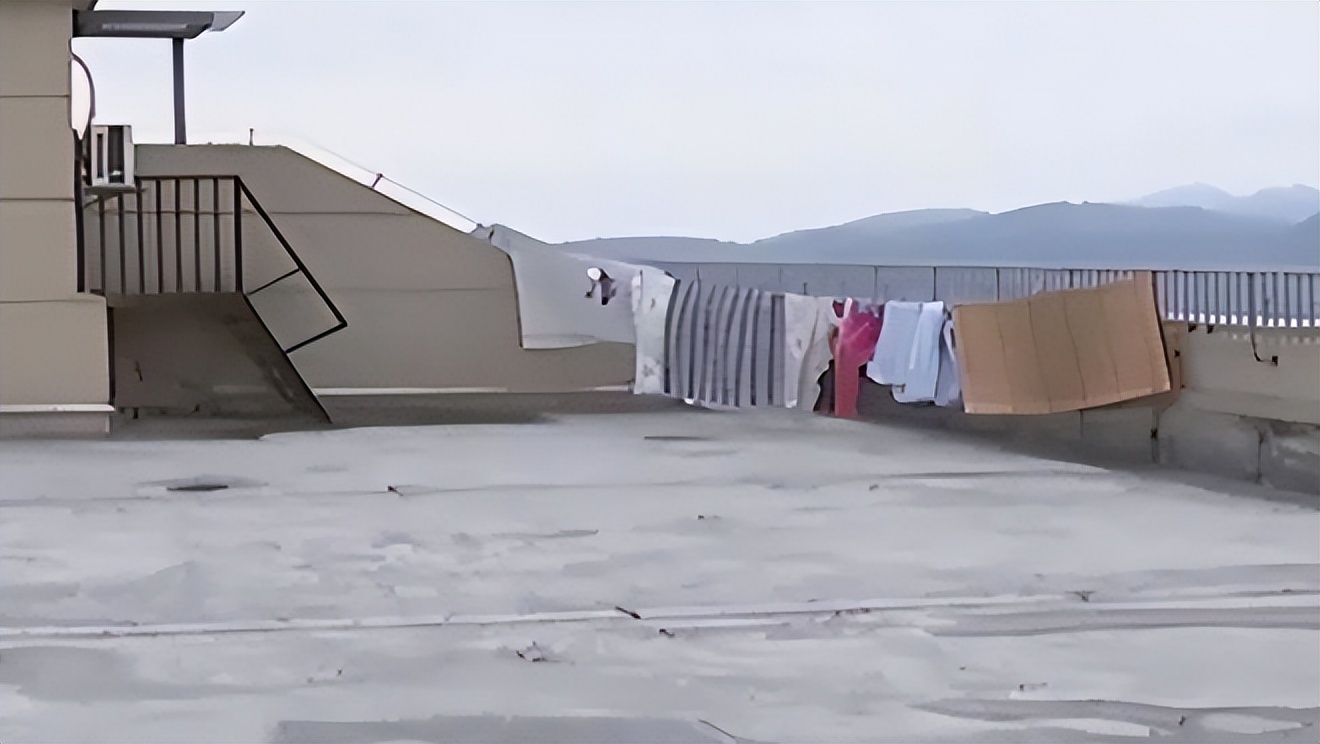 回顾杭州母女被4只烈性犬咬至休克，狗主人叫嚣：有本事你告我啊