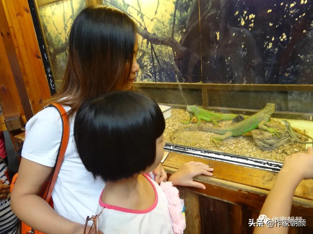 刘存豫：我的母亲是作家