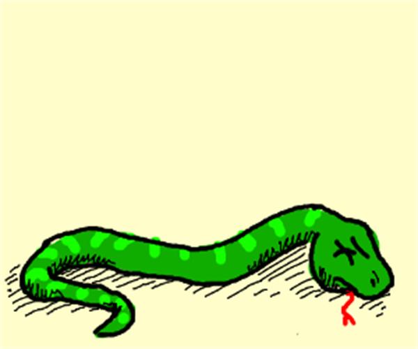 蛇吃黄鳝真会有危险吗,为什么蛇吃黄鳝会咬人