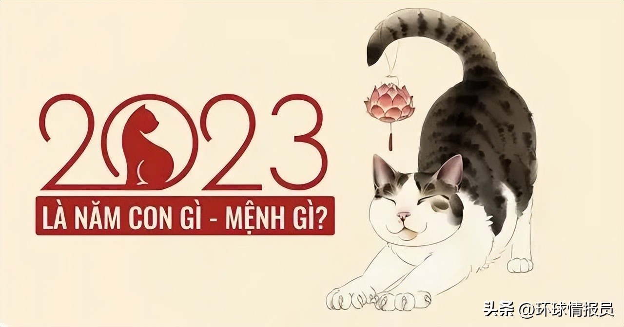 猫也能混进十二生肖？越南为什么不过兔年，而是过猫年？