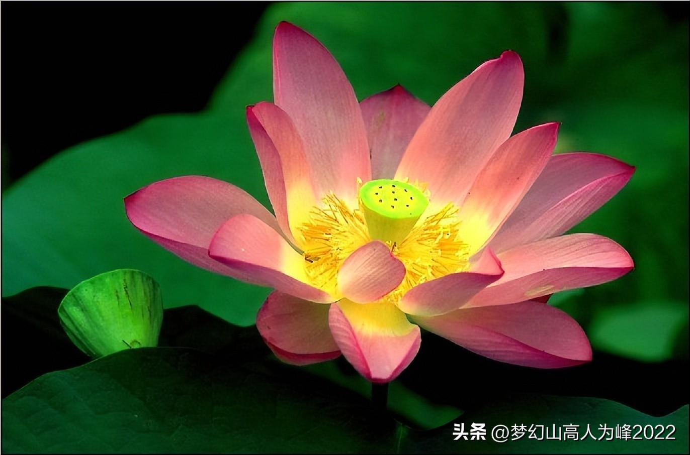 photoshop学习：一个PS进阶的教程——对新手老手都有帮助