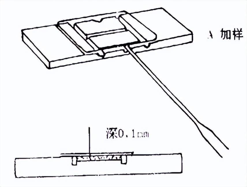 昆明纳瑞丨如何给细胞计数加buff?