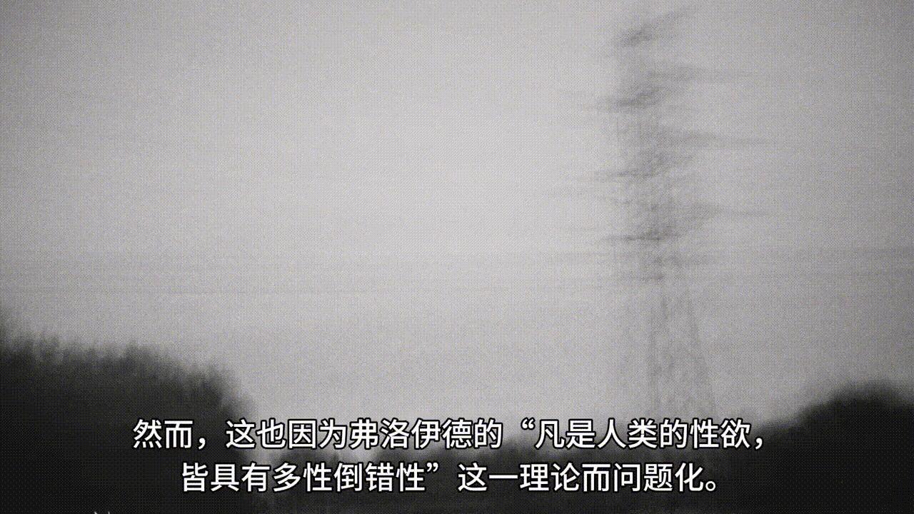 精神分析缺陷,精神分析是错误的吗