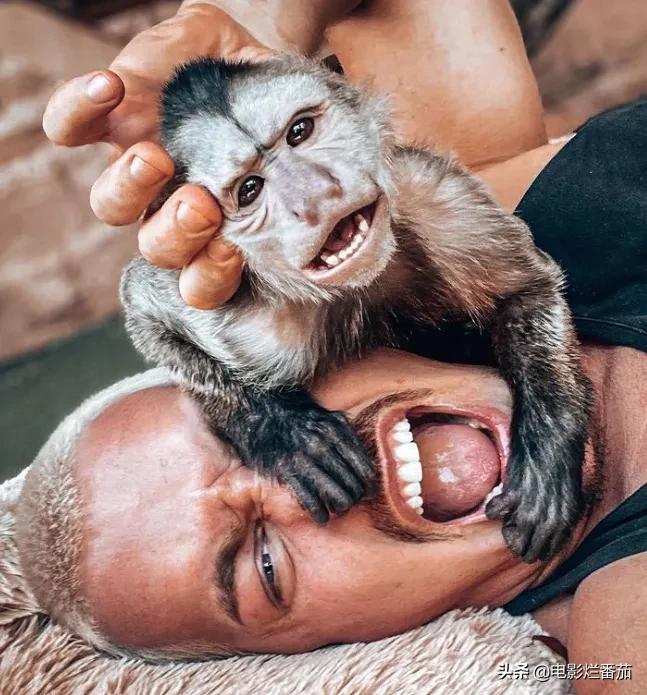 全球最帅100张面孔肖战,全球最帅十大面孔肖战