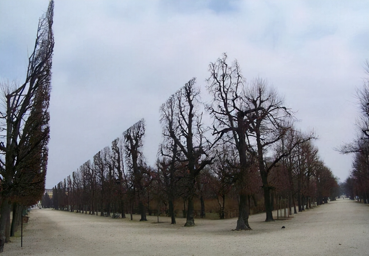 25张活久未见的历史照片,35张活久见的照片