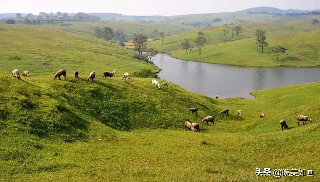 12月安徽值得旅游的地方,8月份适合旅游的安徽地方推荐
