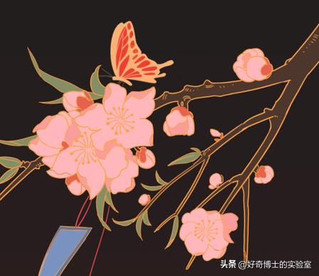 女生吃了春季药后的反应,吃了结核药身体的变化