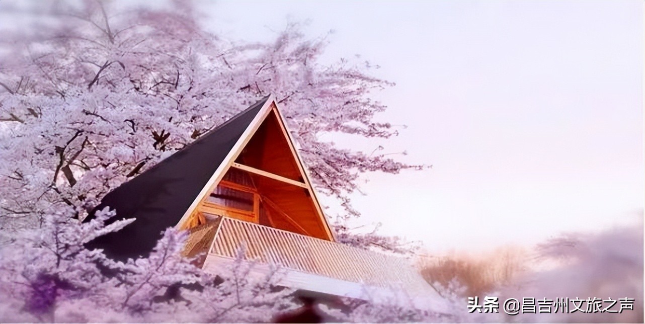 *疆新**首个旅游装备体验中心，打造标准化发展的野趣民宿