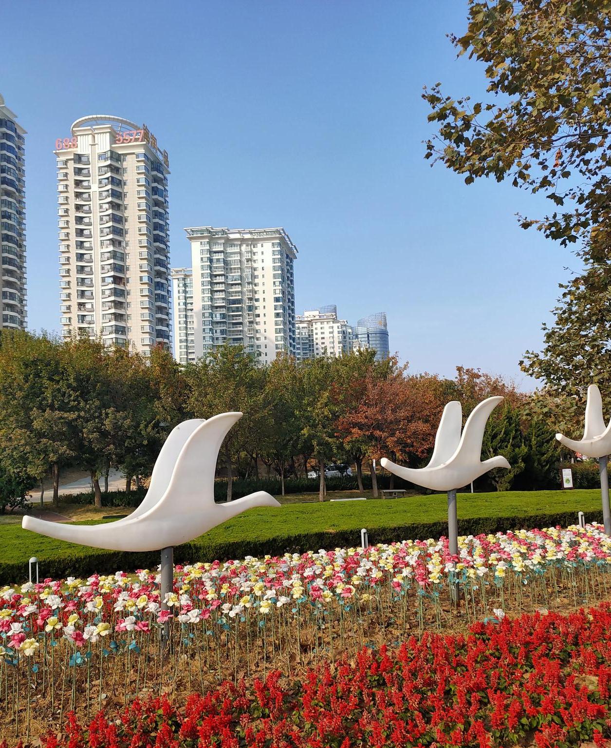 烟台气候景观特征介绍,烟台夏季气候