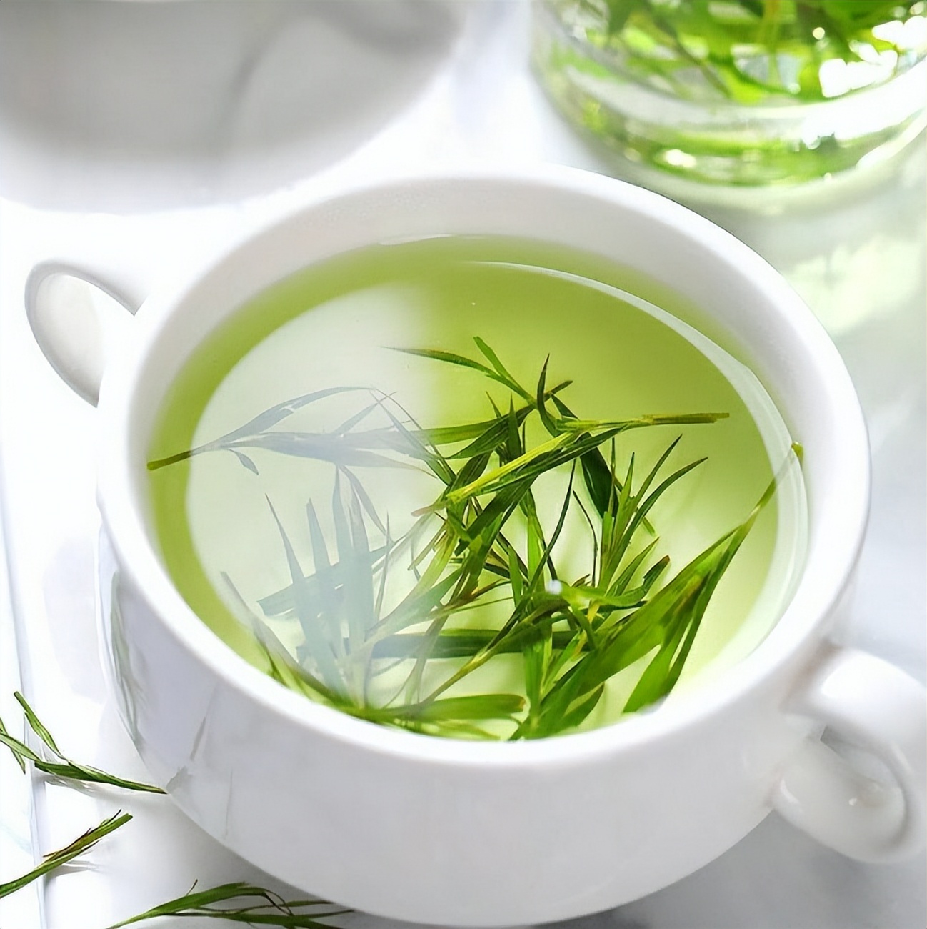 夏季炎热适合喝的茶有哪些,夏天太热喝什么才是清热解毒的茶