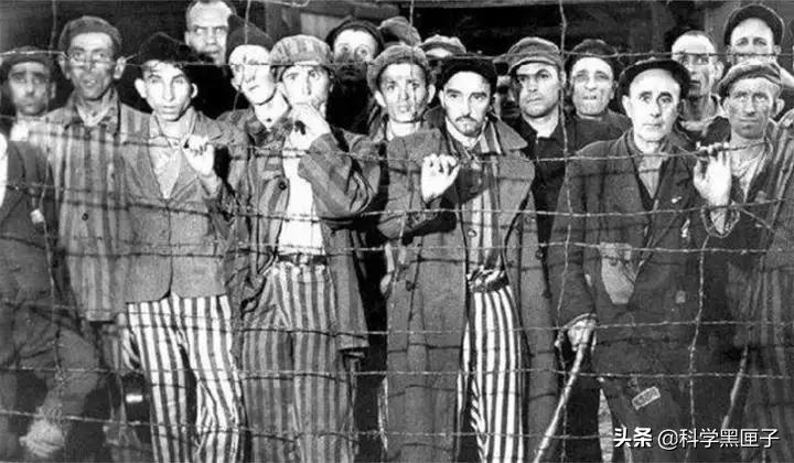 伊丽莎白精神病院讲解,圣伊丽莎白精神病院什么样