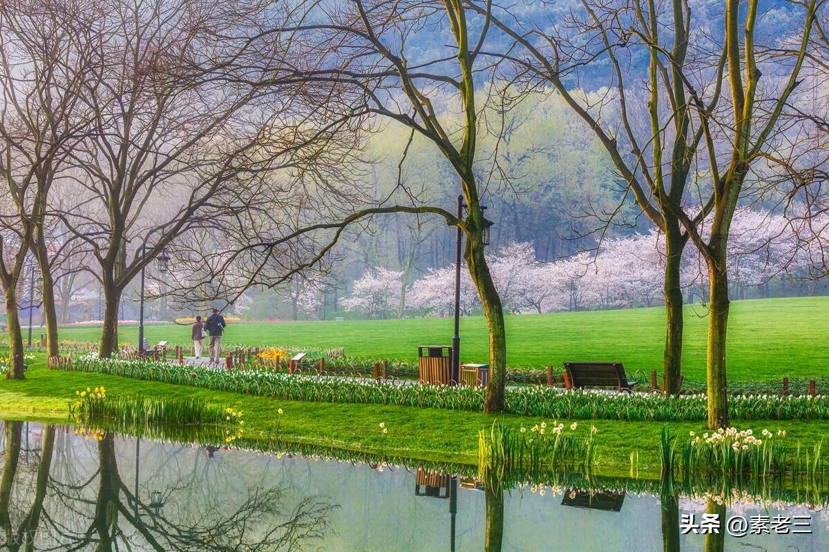 女作家去做保姆——保姆的秘密(671)