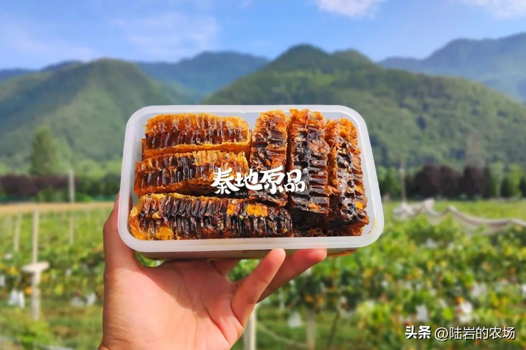 盘点市面五种常见蜂巢