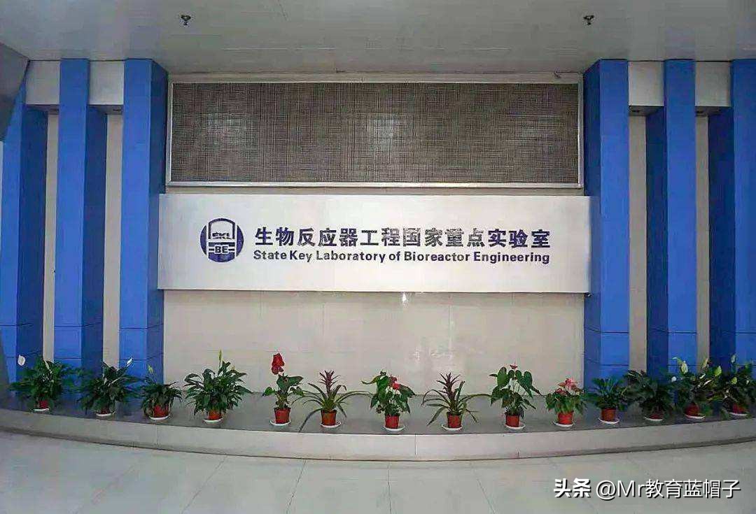 华东理工大学在211里什么水平,华东理工大学在211什么水平