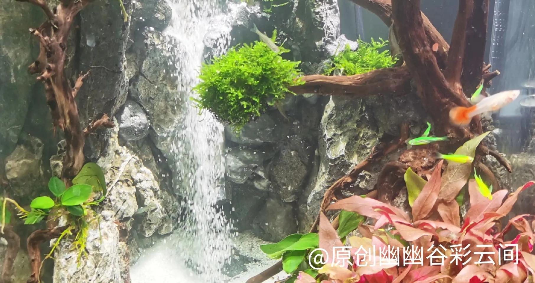 原创随笔感悟300字,头条分享心得的简介怎么写