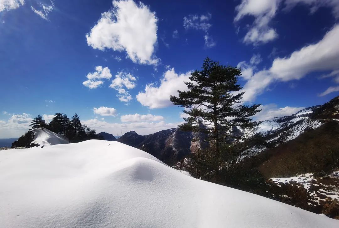 三八妇女节值得纪念的日子,一年一度的三八妇女节即将到来