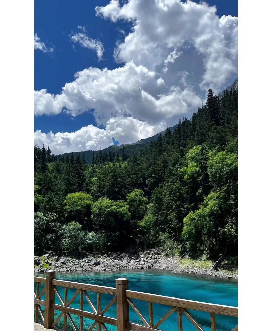 去四川旅游的真实感受,为什么去四川旅游最好