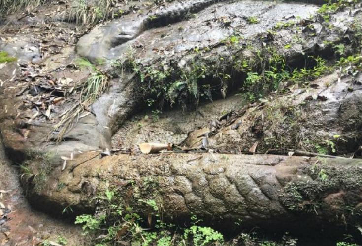 高邮湖出现罕见龙吸水,2007年高邮湖出现龙吸水奇观