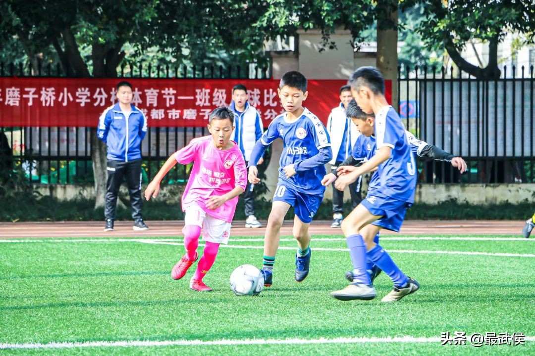 成都新增66所新优质学校武侯区,武侯新城有哪些学校