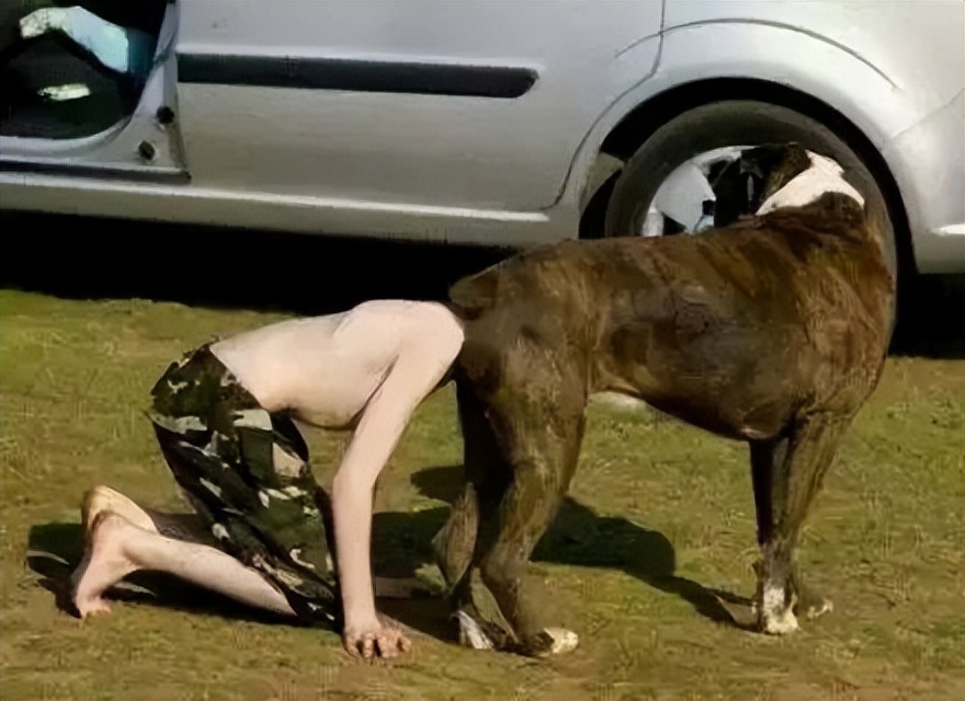 何老师抱狗撒尿，三石弟弟跳舞洗狗…这些破图我看一次笑一次哈哈