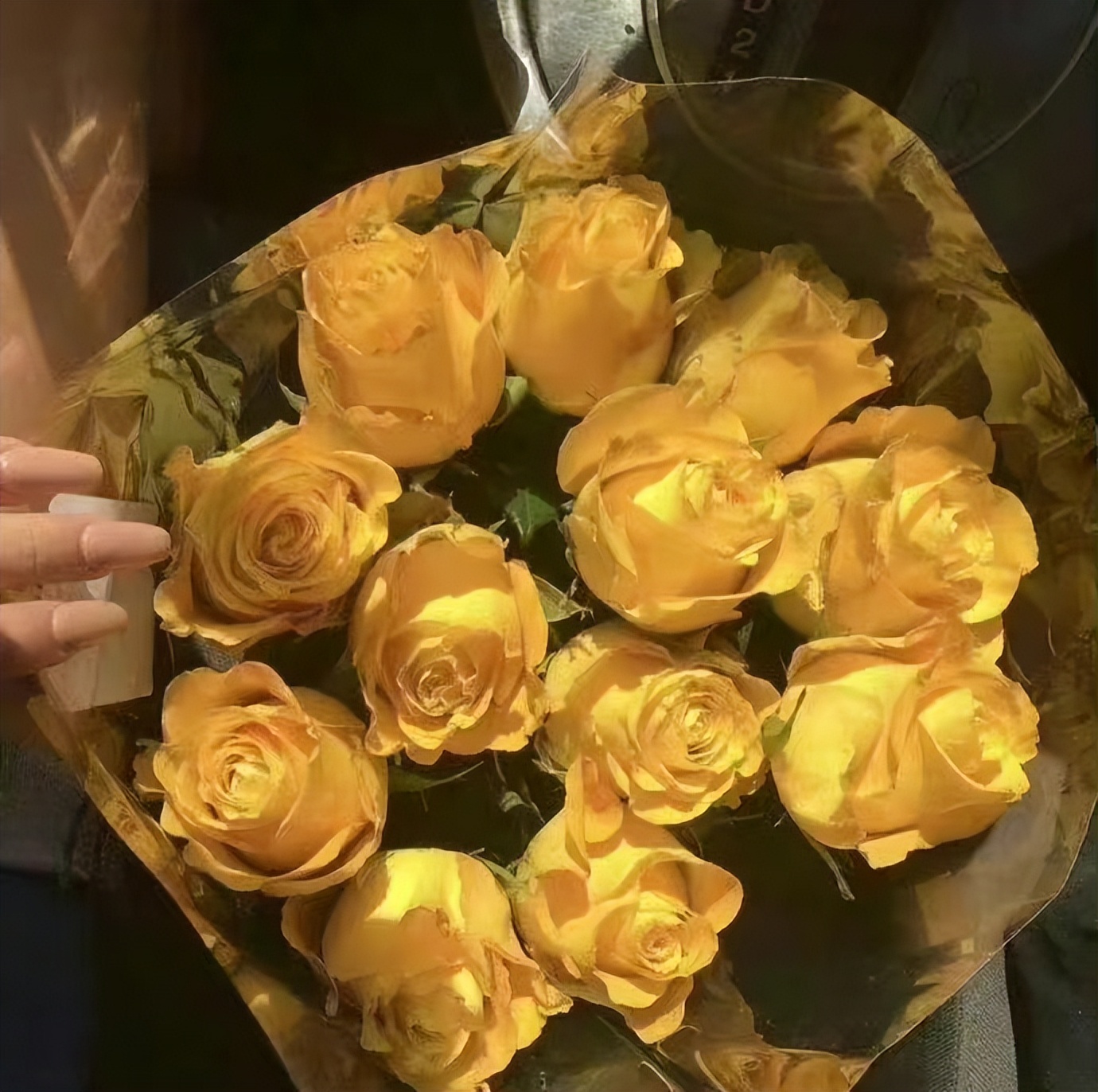 100个极简日常小建议,极简生活100个建议