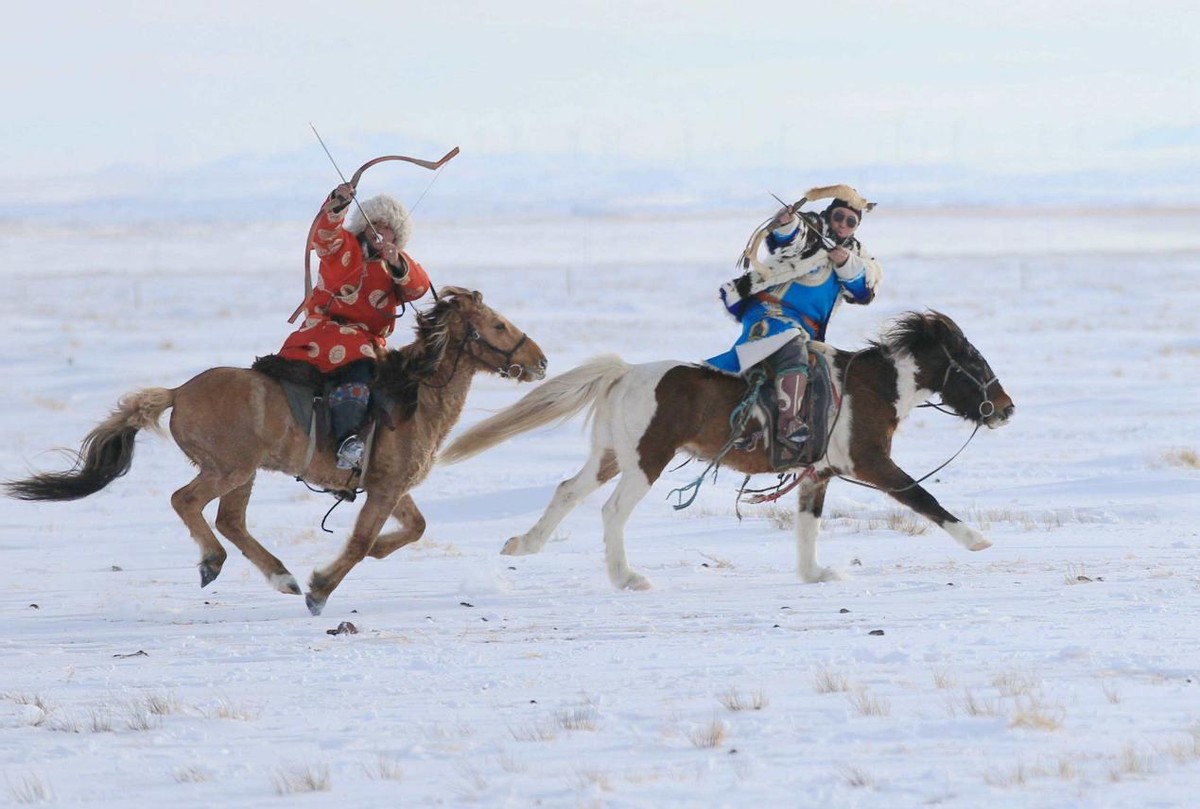 锡林河的鱼——科尔沁的少年，猎杀白狐狸