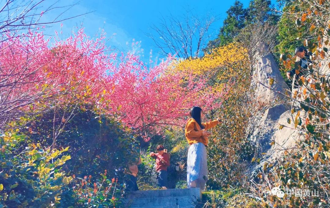 带你去看不一样的黄山之美,2020黄山旅游攻略带你玩转黄山