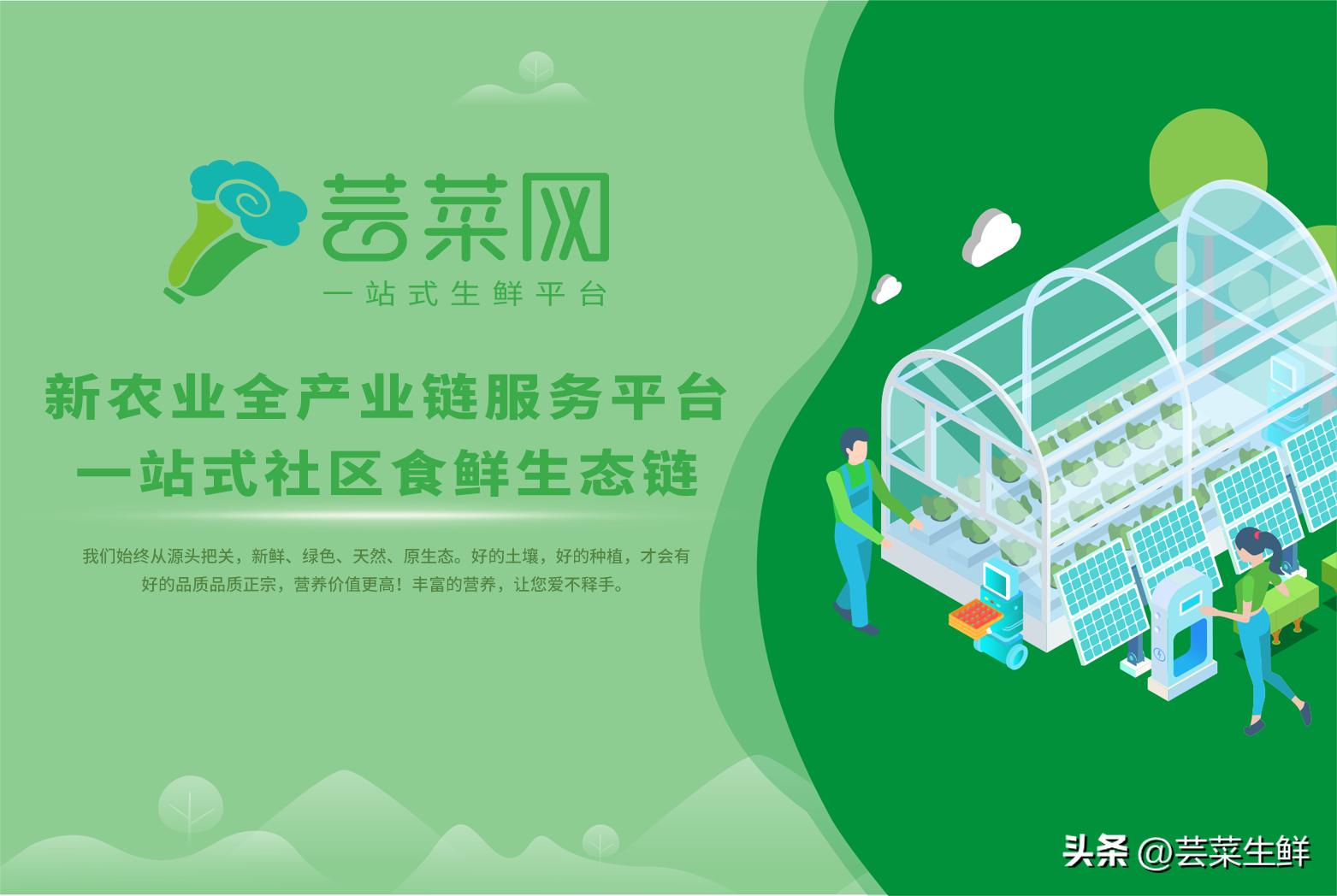 2022年低成本创业项目,疫情后必火的创业项目