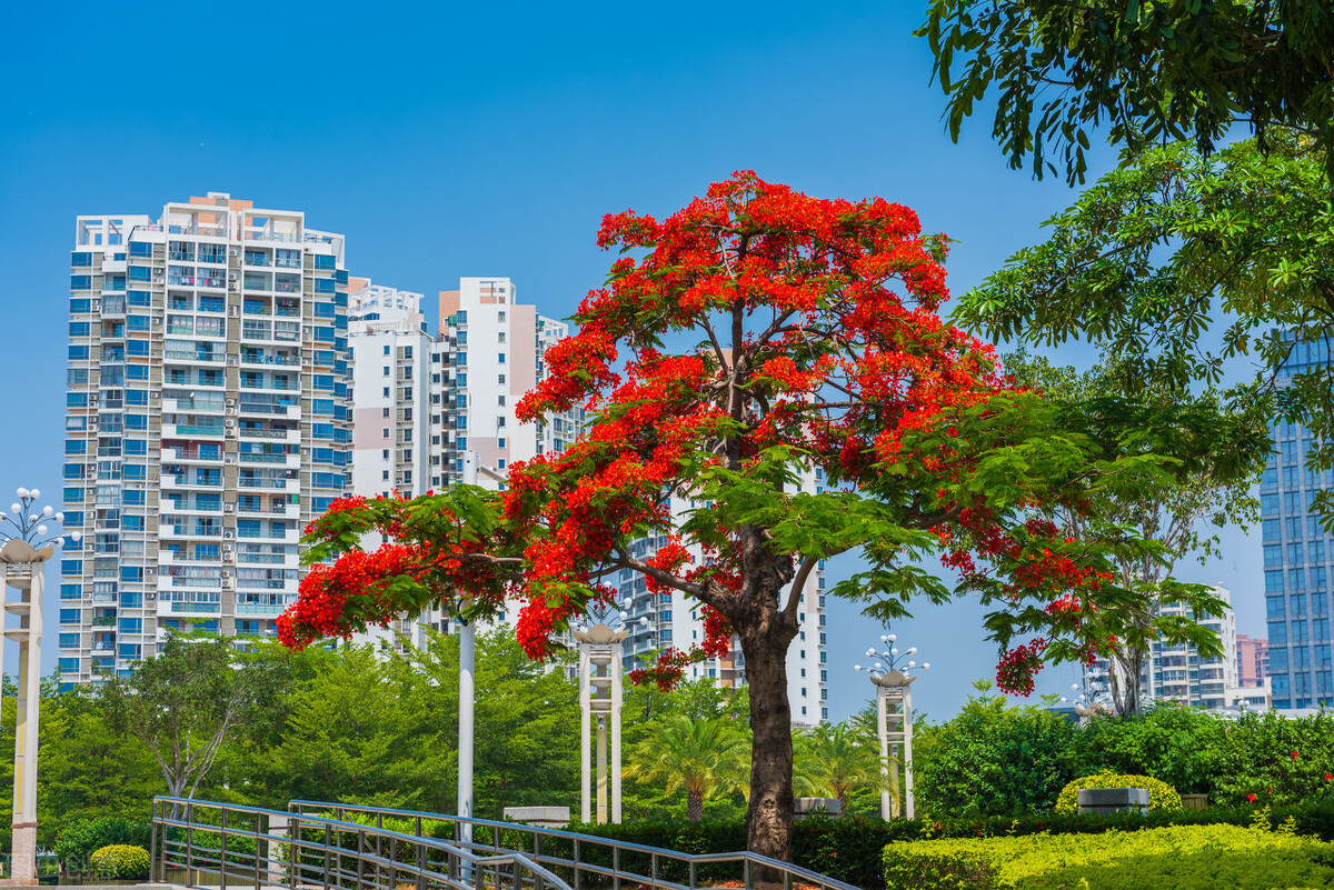 四川省环保新项目,国家政策扶持环保项目