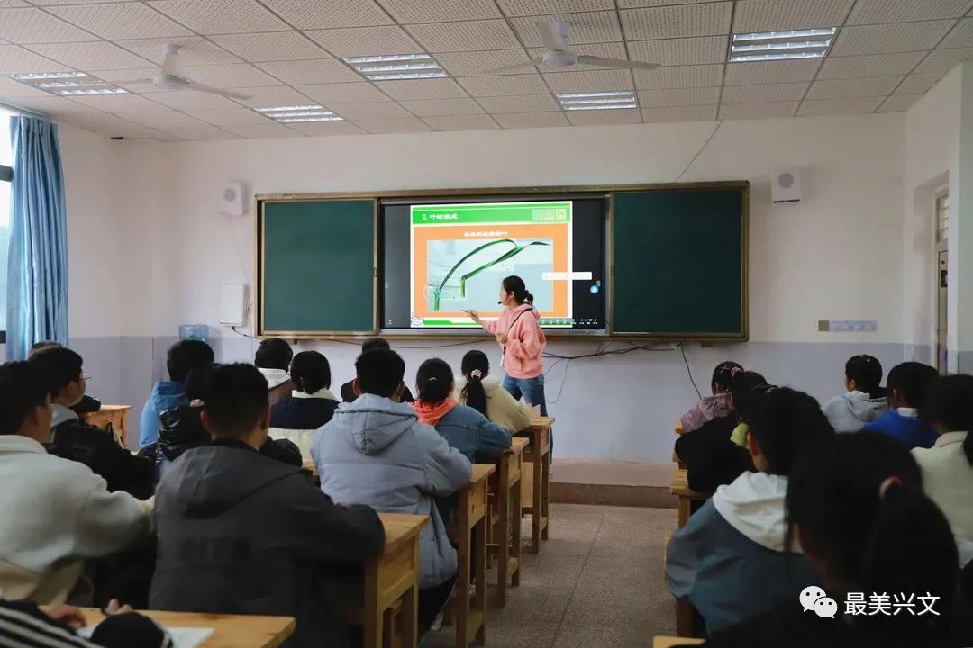 兴文学校,兴文新学校在哪里