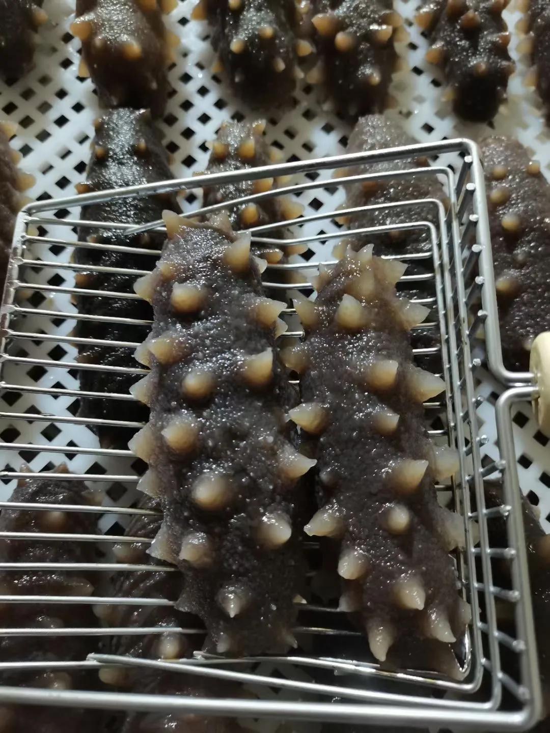 有没有人被海参骗了 (便宜海参骗局)