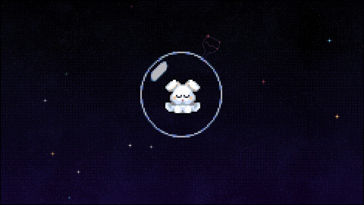 请问要来点兔子吗,请问要来点兔子吗高清