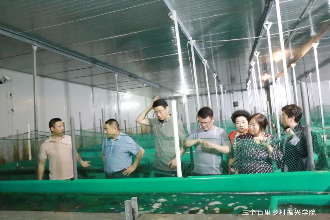 郑州延津商会赴上海学习考察乡村振兴项目