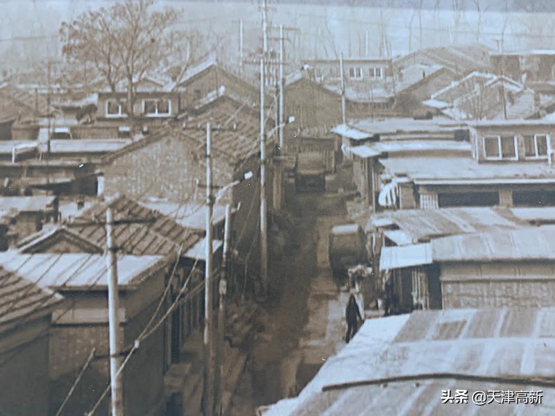 千问千寻大运河武清段,千问千寻大运河武清