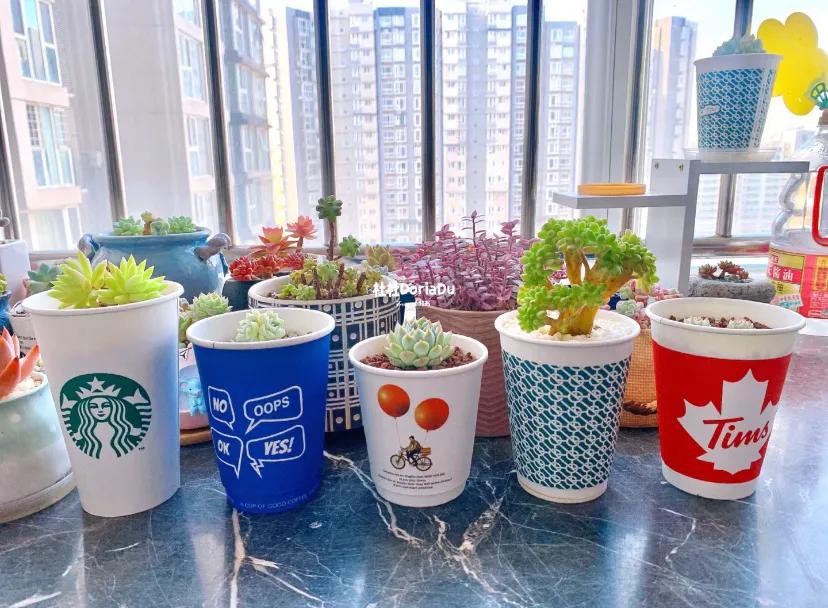 学会了省钱也该学着挣钱了,学会了副业就等于捡钱