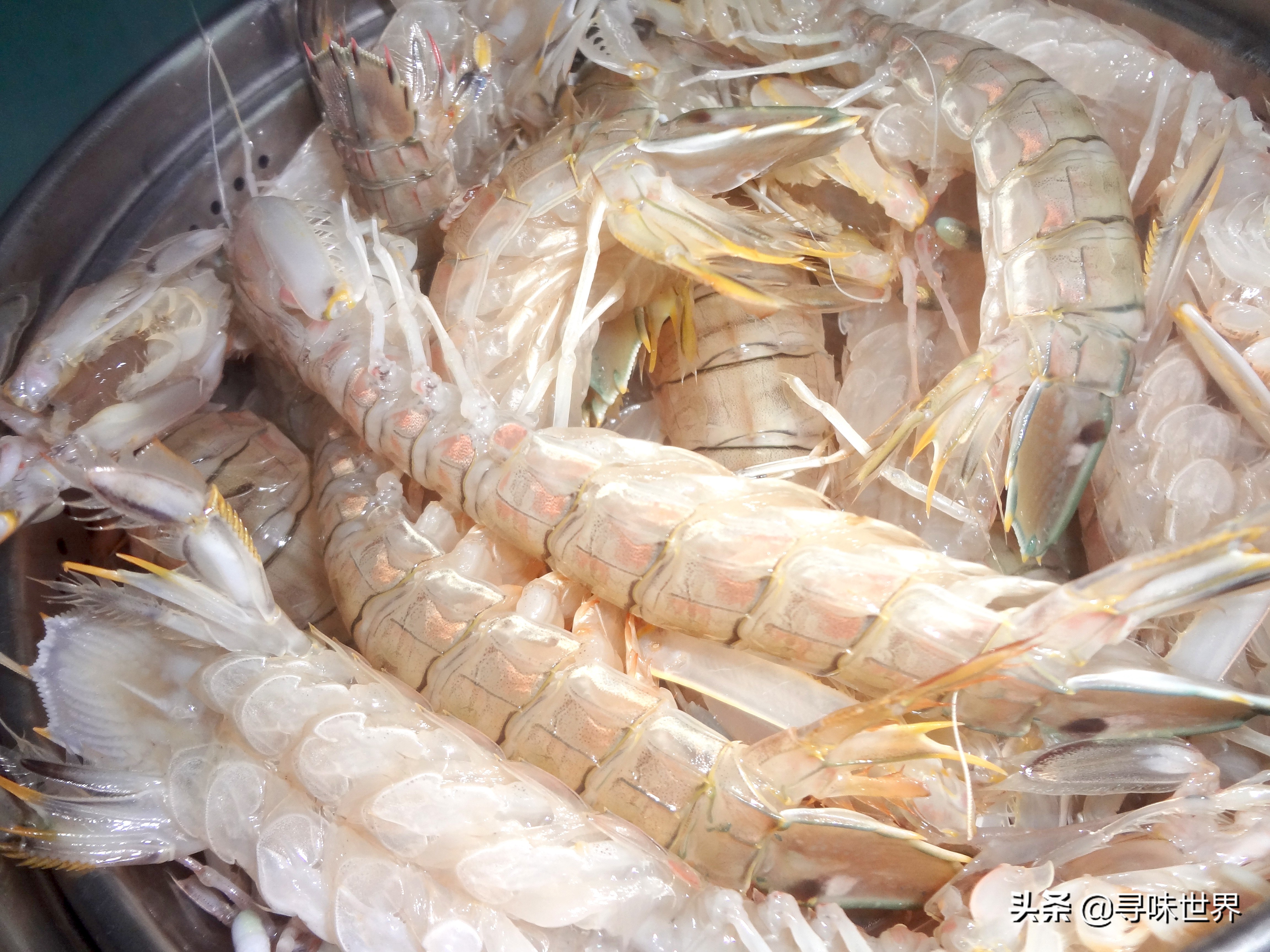 常见家常海鱼品种大全及图片,最好吃的海鱼品种大全及图片