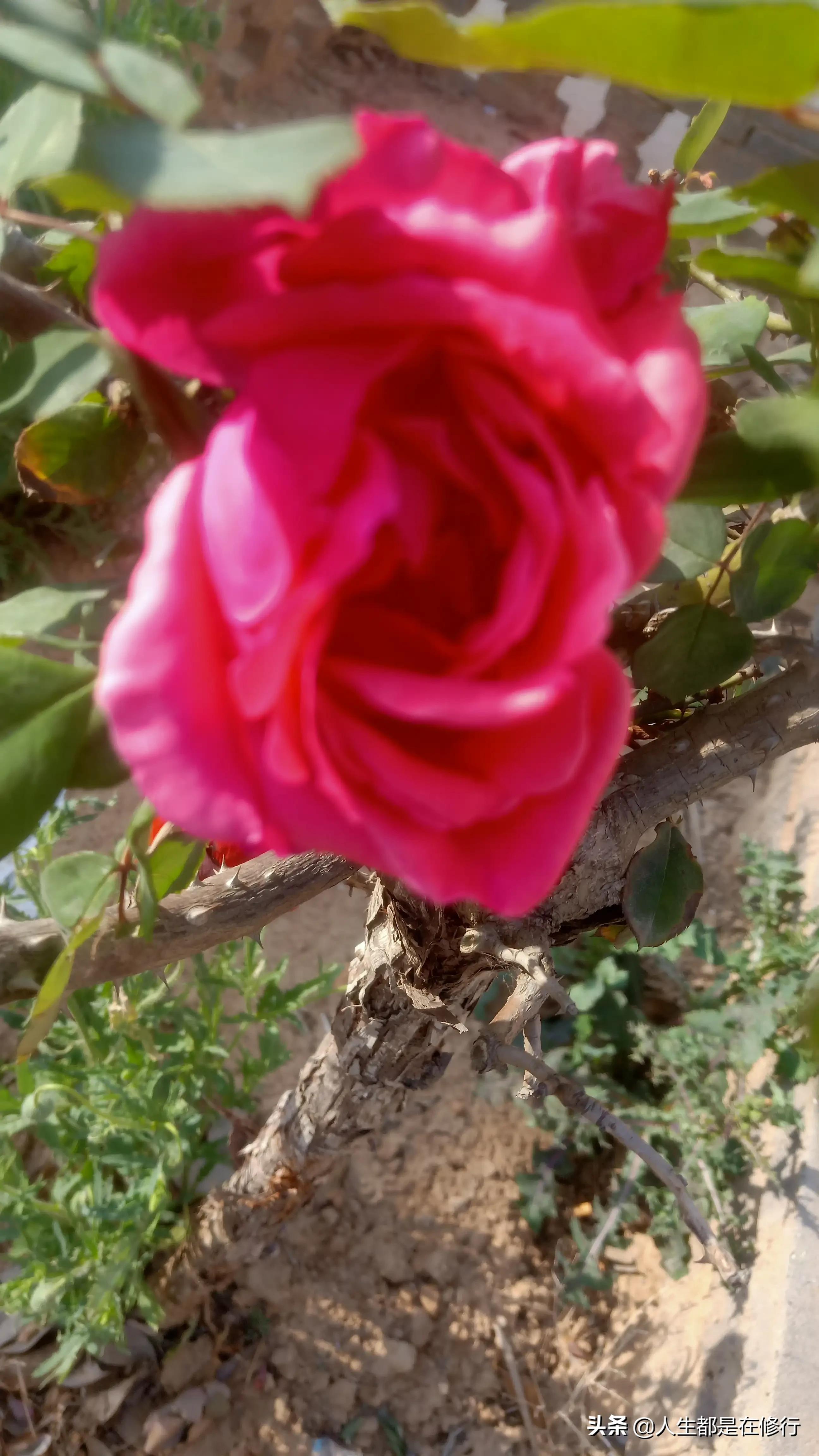 教大家一种拒绝的方法,学会怎样拒绝别人的六个技巧