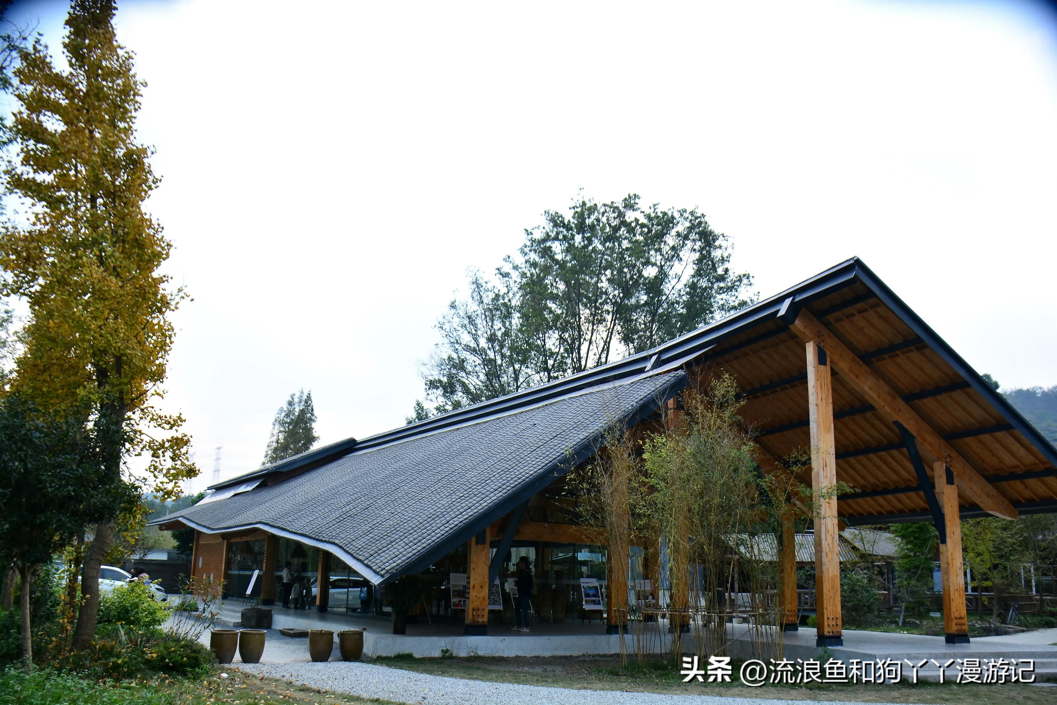 四月份成都近郊一日游好去处,2022成都近郊看雪一日游最佳去处