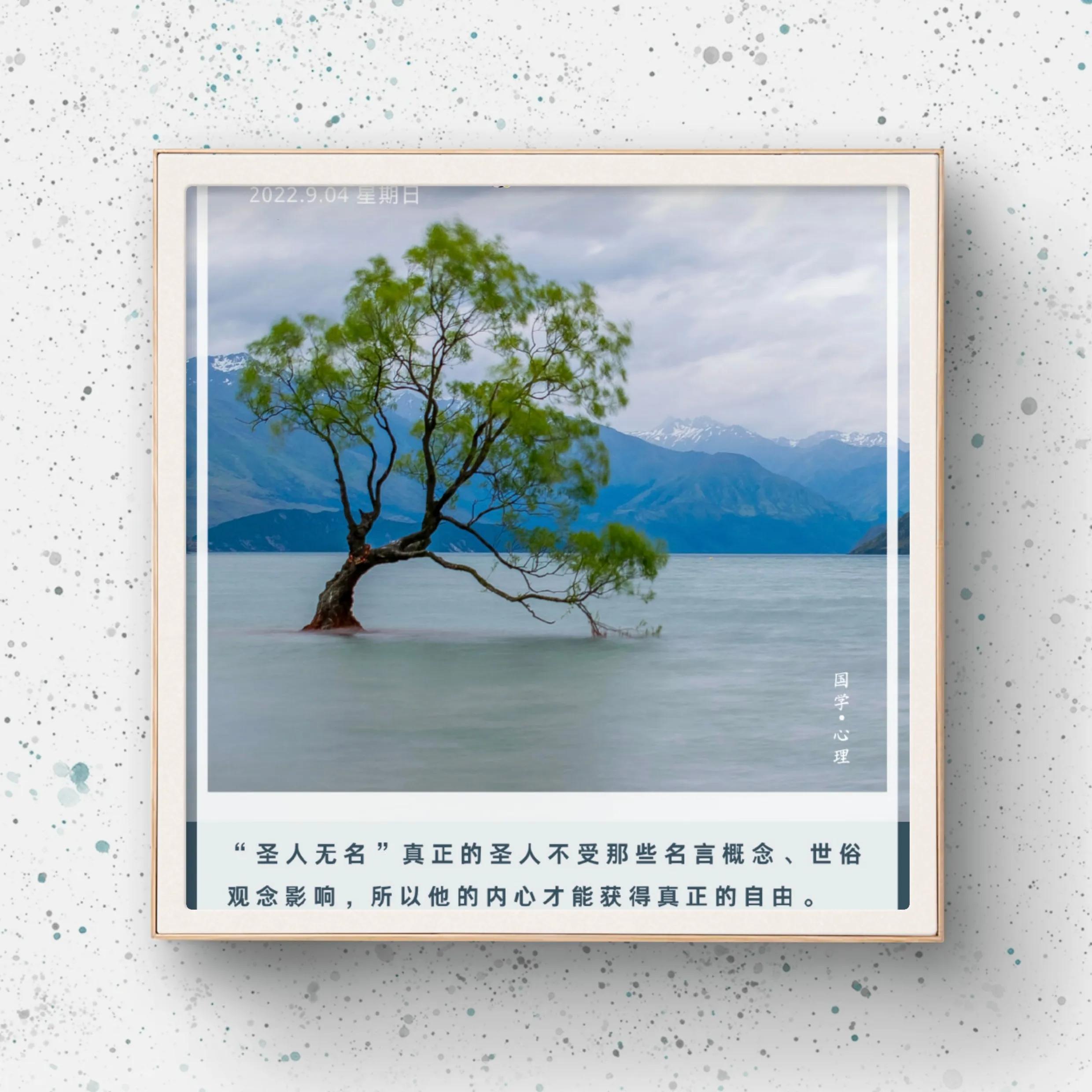 北大天才柳智宇出家当和尚,北大天才柳智宇工作