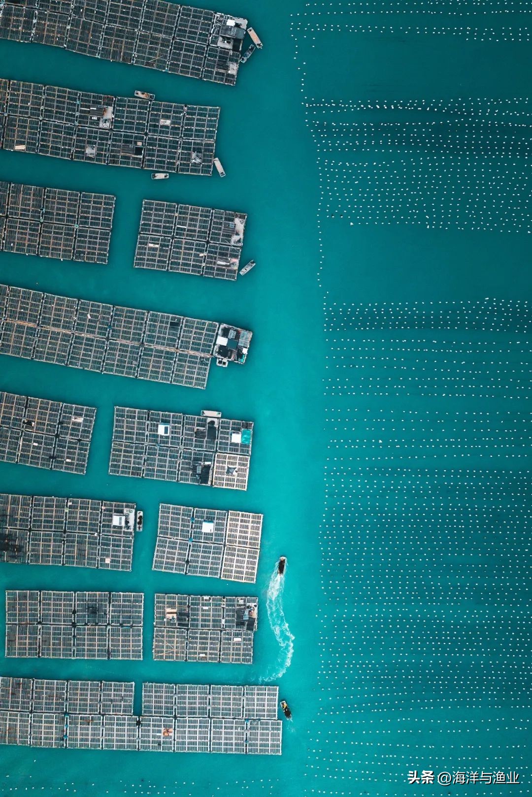 中国渔业海鲜之都,海鲜水产哪几个地方最出名