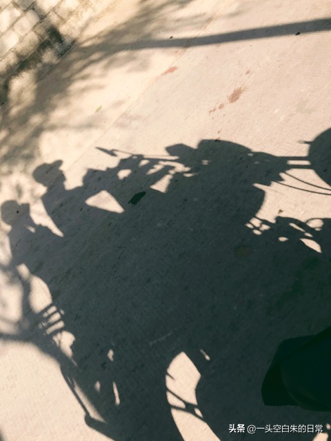 小故事道出了多少人的心酸,成年人无奈的小故事