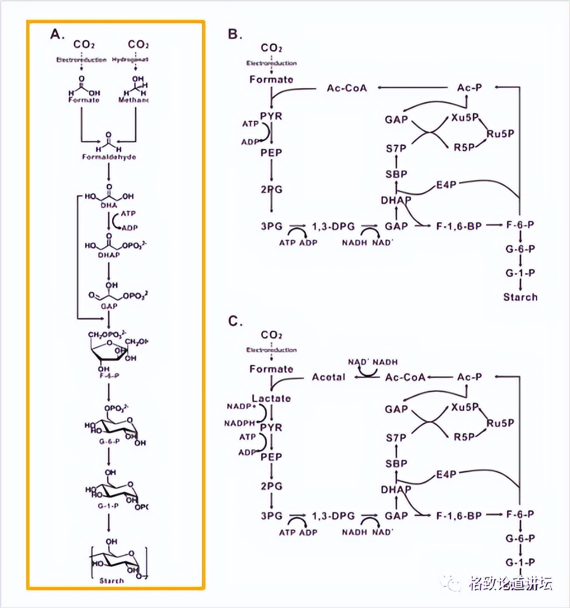 二氧化碳变成淀粉靠谱吗,用二氧化碳合成的淀粉怎样吃