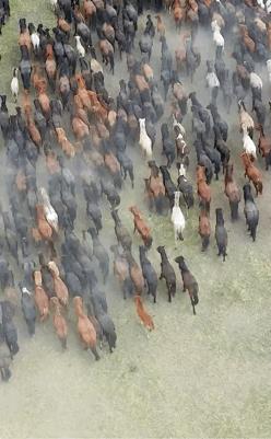 上海学生一身衣服价值127万,上海一学生穿100万衣服真的假的