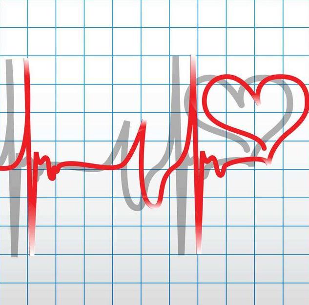心跳快慢与寿命有关吗,心跳快慢会影响人的寿命