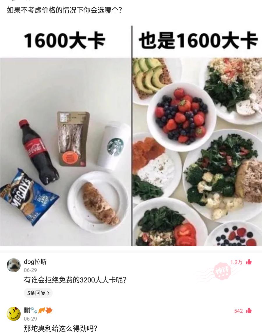 买了一个蚊帐先让室友试试,新买的蚊帐让室友先试试