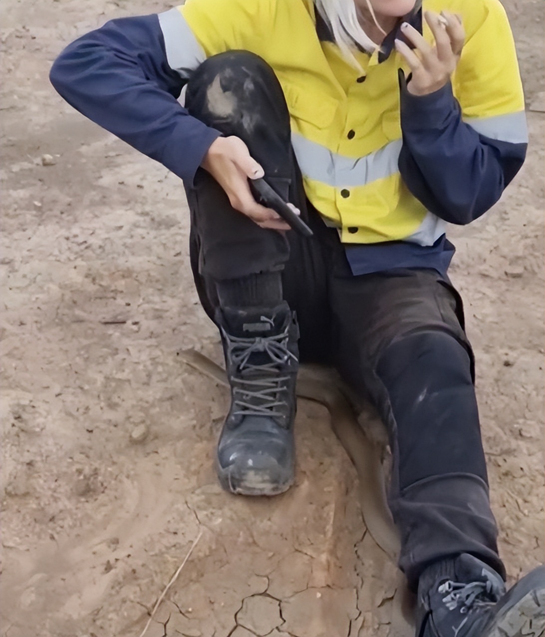 澳洲妇女被蛇咬,澳洲毒性最强的两种蛇