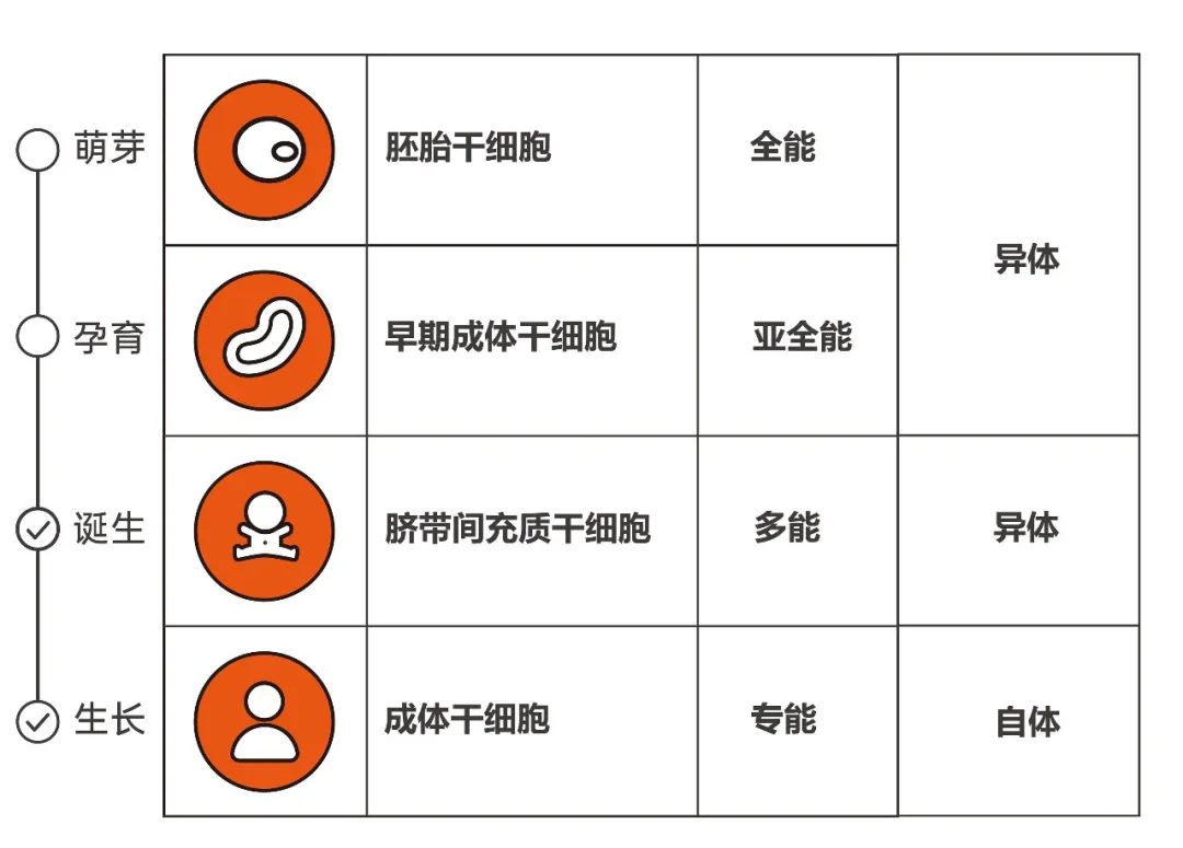 21世纪是基因的时代,细胞治疗时代已经到来