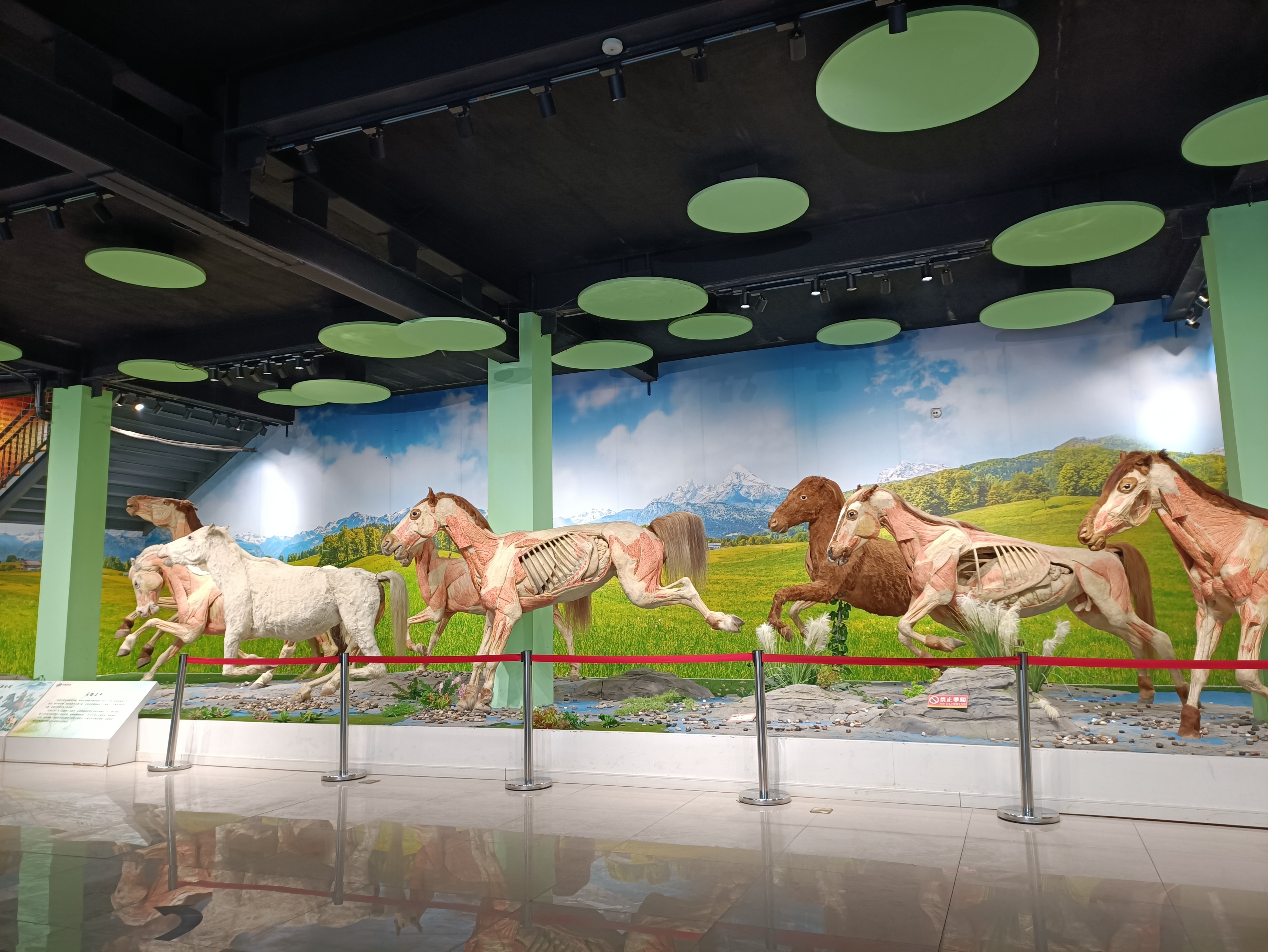 郑州室内旅游攻略必去景点,郑州景点室内游玩攻略